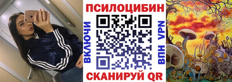 Псилоцибиновые грибы GOLDEN TEACHER  Купить закладки  Серафимович 